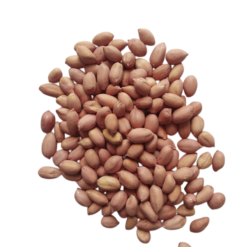 Raw Peanut Java | Groundnut seeds | મગફળીના દાણા