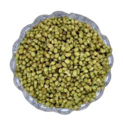 Whole Coriander Seed Green | Dhaniya | આખા ધાણા