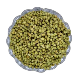 Whole Coriander Seed Green આખા ધાણા Sabut Dhaniya