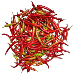 Gondal's famous fresh red chillies for pickles | અથાણા માટે ગોંડલના પ્રખ્યાત તાજા લાલ મરચાં