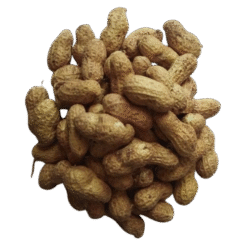 Whole Peanut Pod | આખી મગફળી