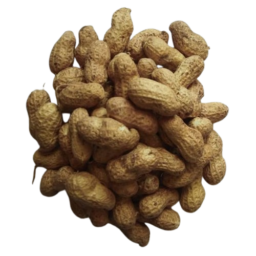 Premium Raw Groundnuts with Shell Peanuts in Shell Whole Pods આખી મગફળી Mungfali