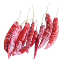 Teja Red Chilli Whole with Stem | તીખું લાલ આખું મરચું | વઘાર માટે